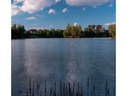 Jazero Baňa Nové Zámky - drevo - autor: pepe K