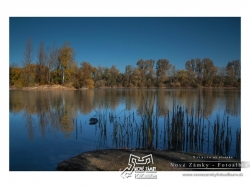 Jazero Baňa Nové Zámky - jeseň - autor: pepe K