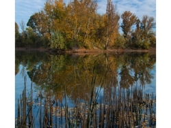 Jazero Baňa Nové Zámky - jesenná - autor: pepe K