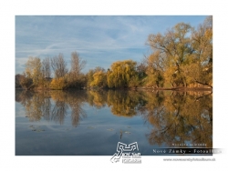 Jazero Baňa Nové Zámky - jesenné ráno - autor: pepe K