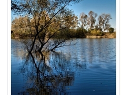 Jazero Baňa Nové Zámky - Vo vode - autor: pepe K
