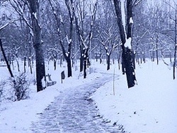 Nové Zámky Bernolákov park 11