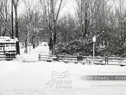 Nové Zámky Bernolákov park 8