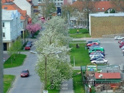 Nové Zámky Kapisztóryho ulica Okolie 16