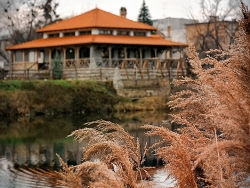 Nové Zámky Medzimlynie, Sihoť (4)