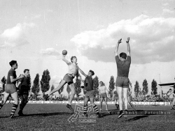 Kovosmalt Petržalka vs. Lokomotíva Nové Zámky 1952