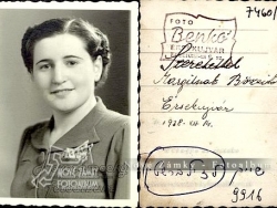 Nové Zámky Synagógy - Bözsi Zilberstein 14.12.1938 - zomrela v Koncntračnom Tábore